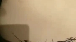 丽柜丝袜