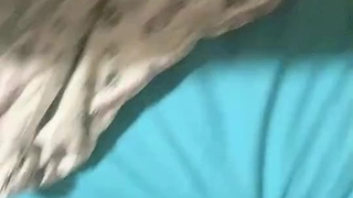继母发现她的继女第一次和高清男人在一起