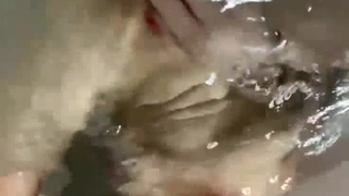 二零二三九月二号_丽丽安